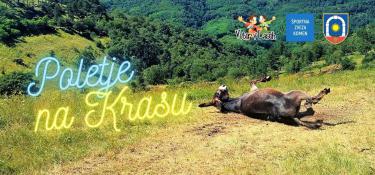 Poletje na Krasu